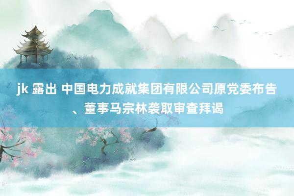 jk 露出 中国电力成就集团有限公司原党委布告、董事马宗林袭取审查拜谒