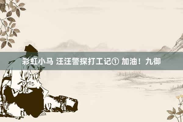 彩虹小马 汪汪警探打工记① 加油！九御
