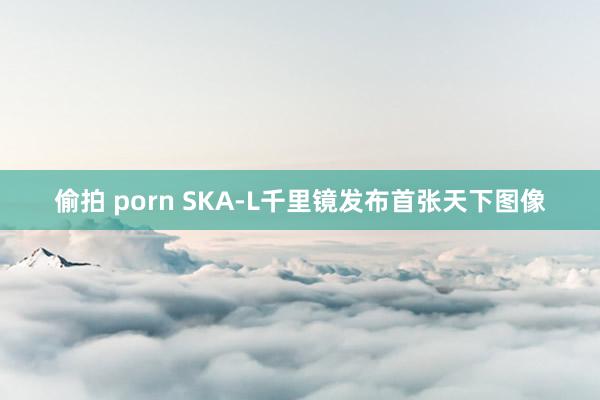 偷拍 porn SKA-L千里镜发布首张天下图像