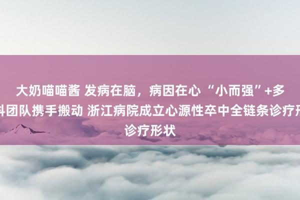 大奶喵喵酱 发病在脑，病因在心 “小而强”+多学科团队携手搬动 浙江病院成立心源性卒中全链条诊疗形状