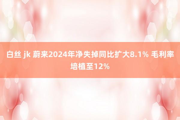 白丝 jk 蔚来2024年净失掉同比扩大8.1% 毛利率培植至12%