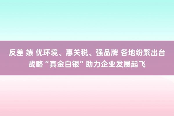 反差 婊 优环境、惠关税、强品牌 各地纷繁出台战略“真金白银”助力企业发展起飞