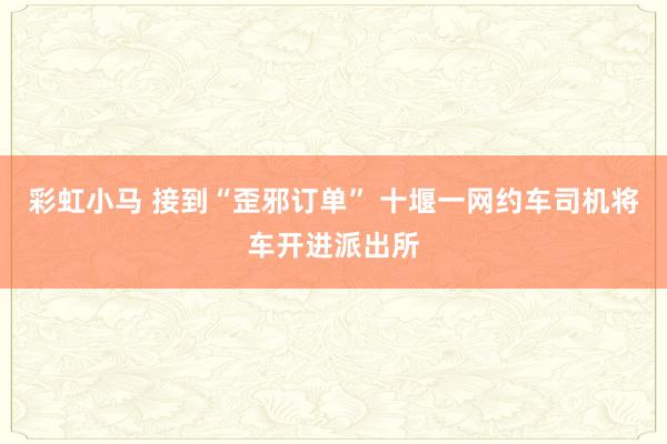 彩虹小马 接到“歪邪订单” 十堰一网约车司机将车开进派出所