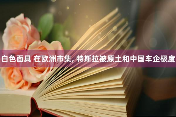 白色面具 在欧洲市集， 特斯拉被原土和中国车企极度