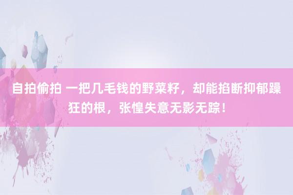 自拍偷拍 一把几毛钱的野菜籽，却能掐断抑郁躁狂的根，张惶失意无影无踪！