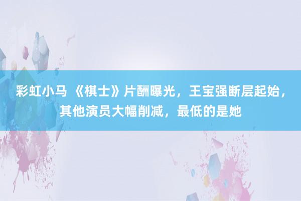 彩虹小马 《棋士》片酬曝光，王宝强断层起始，其他演员大幅削减，最低的是她