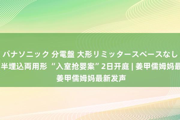 パナソニック 分電盤 大形リミッタースペースなし 露出・半埋込両用形 “入室抢婴案”2日开庭 | 姜甲儒姆妈最新发声