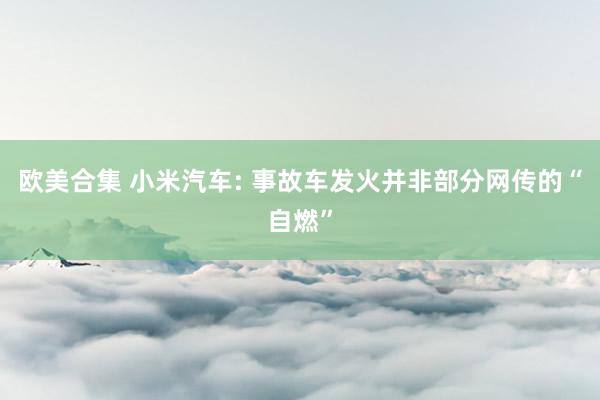 欧美合集 小米汽车: 事故车发火并非部分网传的“自燃”
