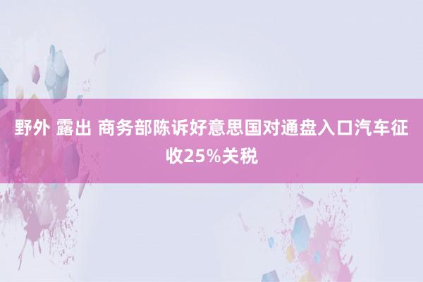 野外 露出 商务部陈诉好意思国对通盘入口汽车征收25%关税
