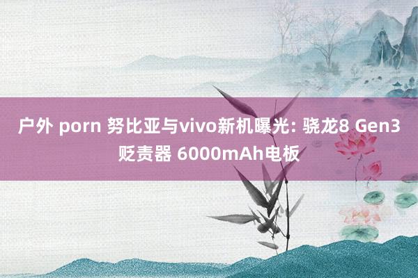 户外 porn 努比亚与vivo新机曝光: 骁龙8 Gen3贬责器 6000mAh电板