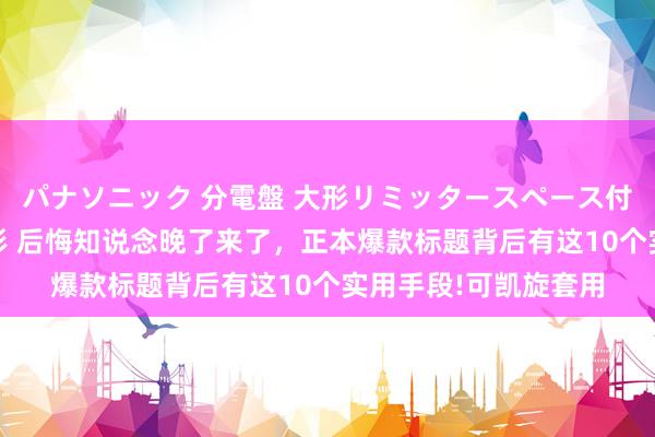 パナソニック 分電盤 大形リミッタースペース付 露出・半埋込両用形 后悔知说念晚了来了，正本爆款标题背后有这10个实用手段!可凯旋套用