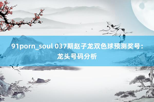 91porn_soul 037期赵子龙双色球预测奖号：龙头号码分析