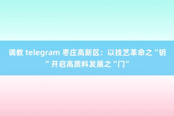 调教 telegram 枣庄高新区：以技艺革命之“钥”开启高质料发展之“门”