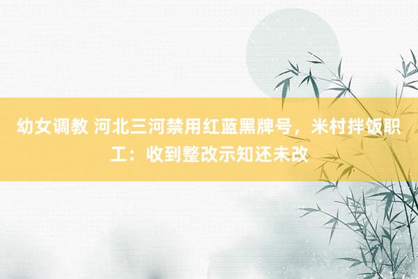 幼女调教 河北三河禁用红蓝黑牌号，米村拌饭职工：收到整改示知还未改