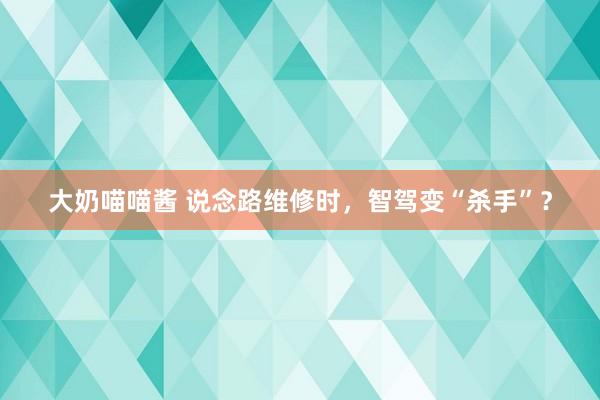 大奶喵喵酱 说念路维修时，智驾变“杀手”？