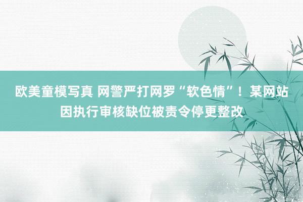 欧美童模写真 网警严打网罗“软色情”！某网站因执行审核缺位被责令停更整改