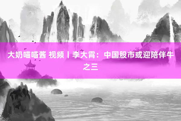 大奶喵喵酱 视频丨李大霄：中国股市或迎陪伴牛之三