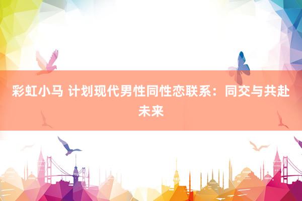 彩虹小马 计划现代男性同性恋联系：同交与共赴未来