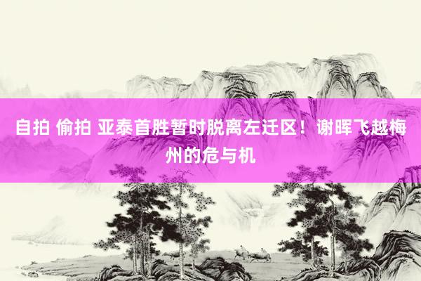 自拍 偷拍 亚泰首胜暂时脱离左迁区！谢晖飞越梅州的危与机