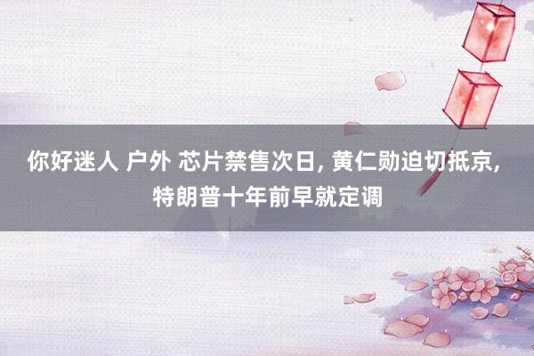 你好迷人 户外 芯片禁售次日， 黄仁勋迫切抵京， 特朗普十年前早就定调