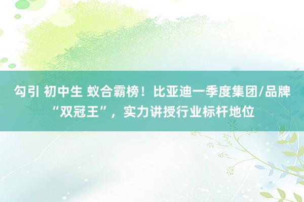 勾引 初中生 蚁合霸榜！比亚迪一季度集团/品牌“双冠王”，实力讲授行业标杆地位
